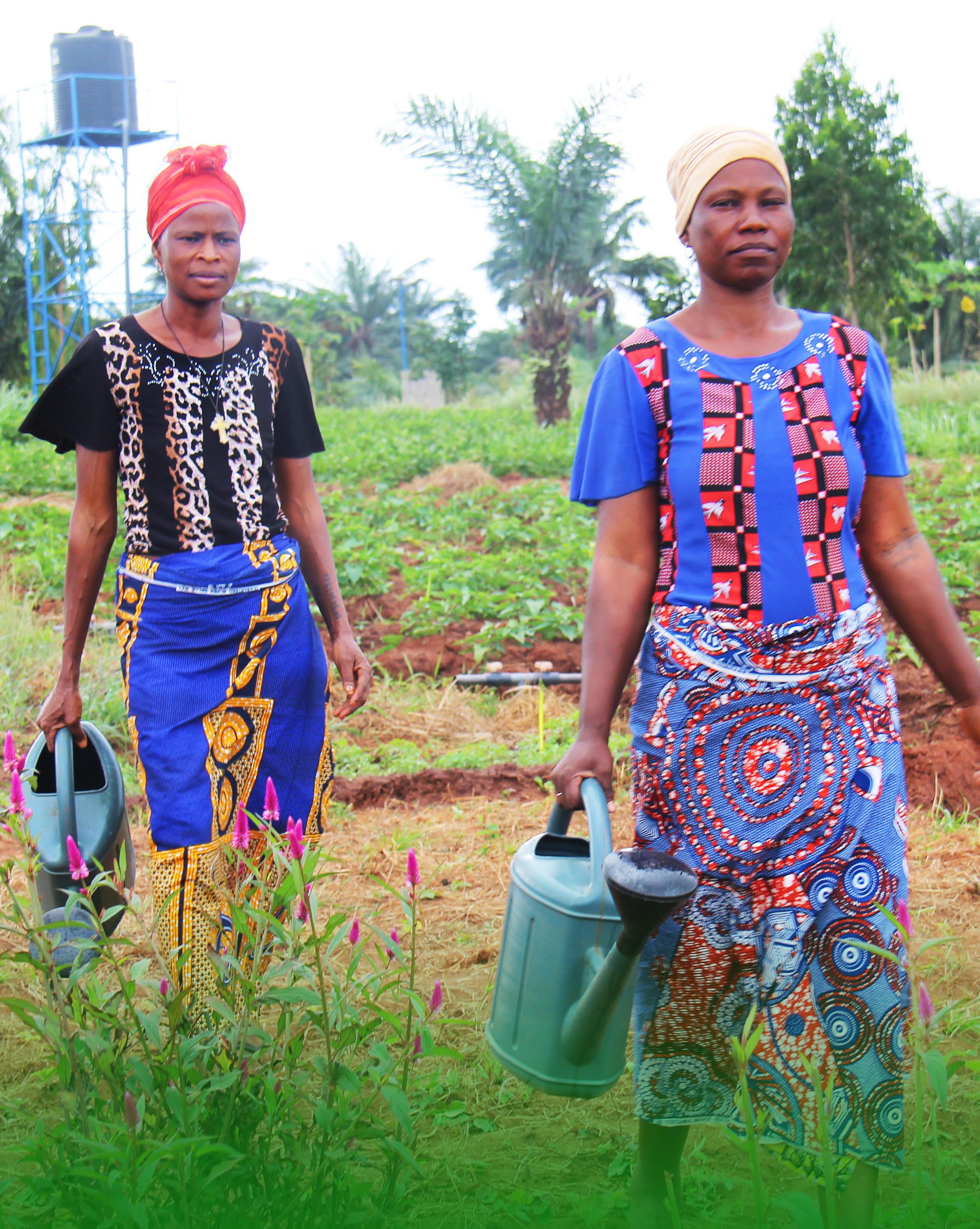 Promotion de la croissance