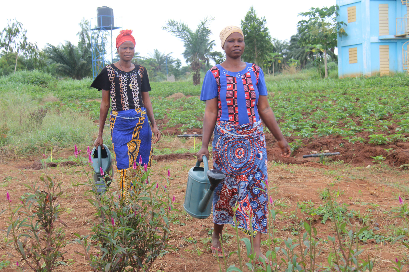 Promotion de la croissance